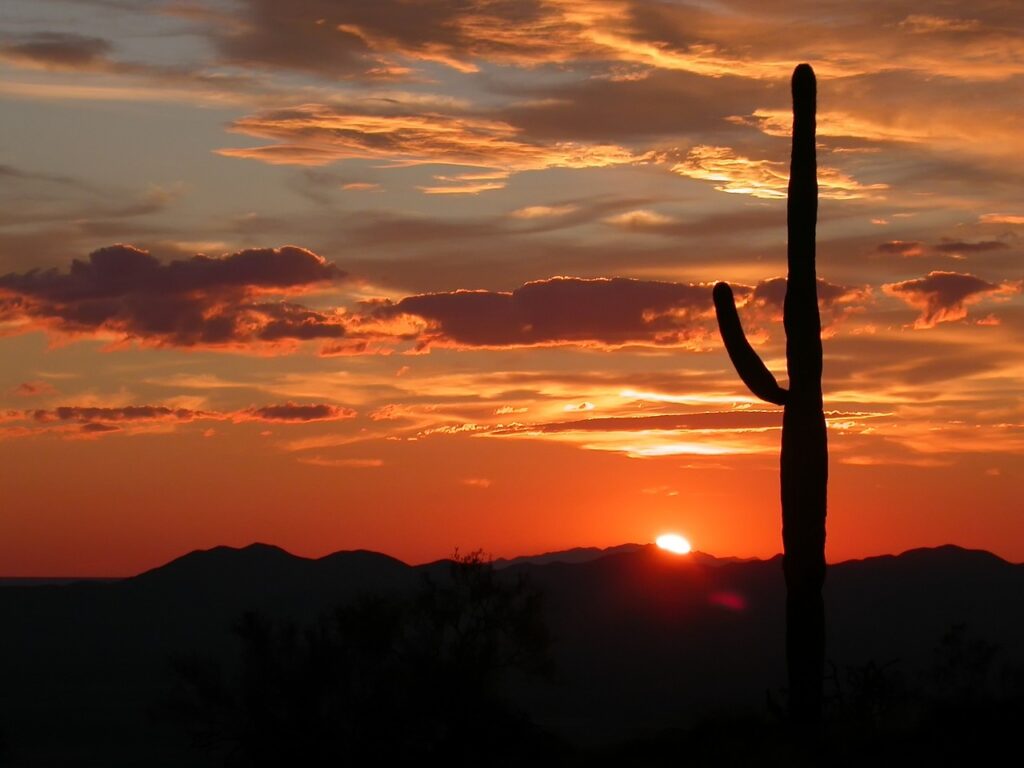 Arizona – a Perfect Destination to Visit in 2024